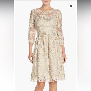 Belted Lace Fit & Flare Dress
Eliza J